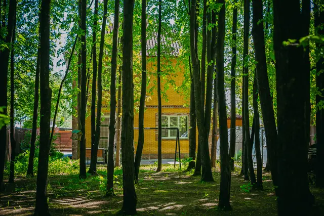 Дом «На Птичьих Правах» — фото 6
